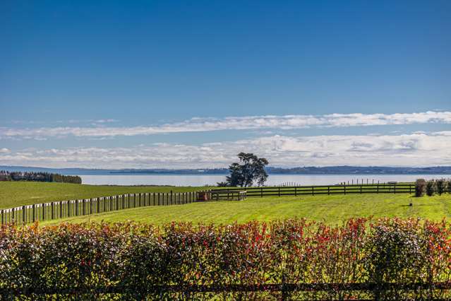 80 Ewen Place Karaka_2