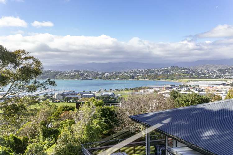 19 Colville Street Newtown_2