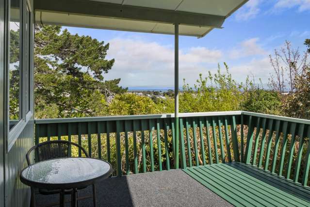 101 Oakley Crescent Thames_2