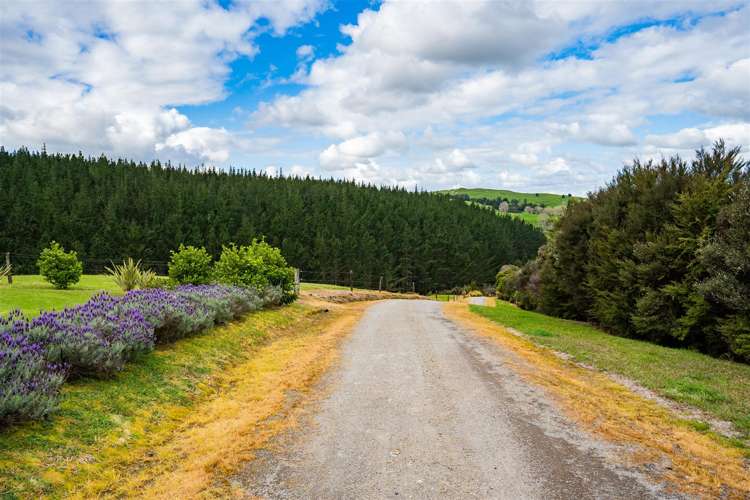 144 Moore Road Pipiwai_34