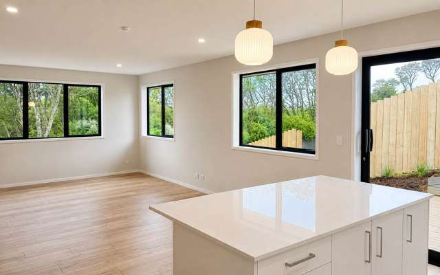 11 Ti Tree Lane Stanmore Bay_2