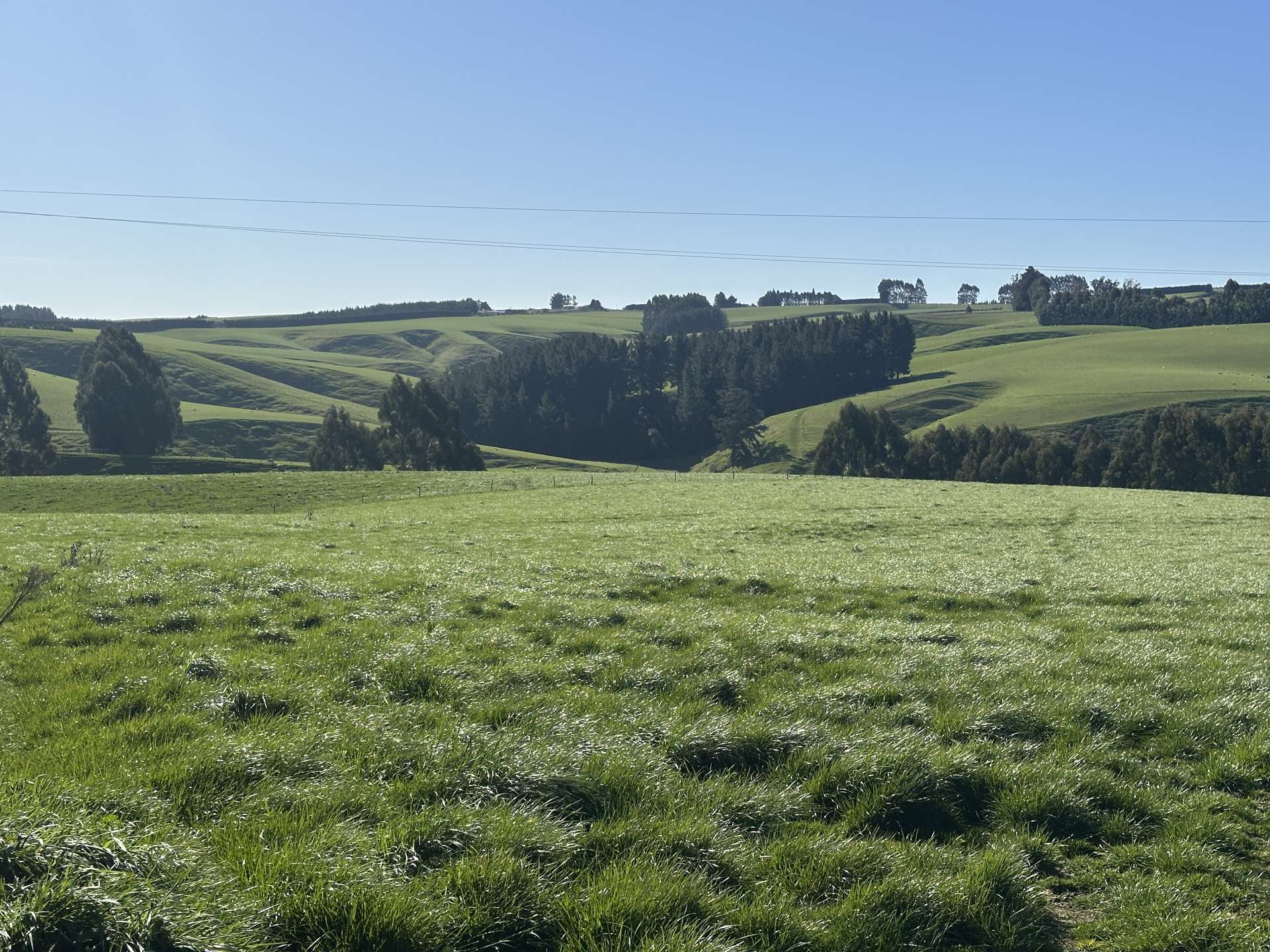 Hillend Road and Falla Burn Road Hillend_0