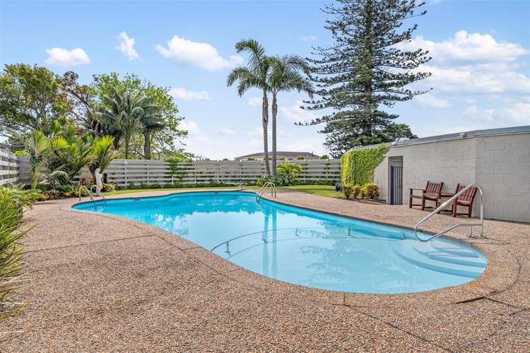 10/90 Kitchener Road Milford_41