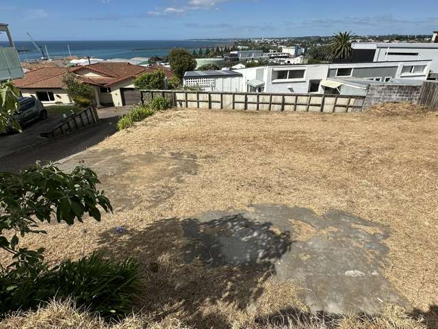 22c Findlay Street Moturoa_4