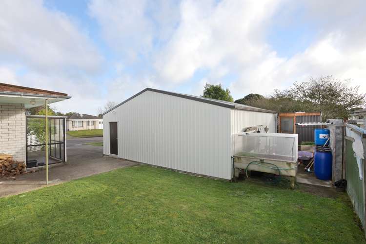 2 Walker Crescent Bulls_8