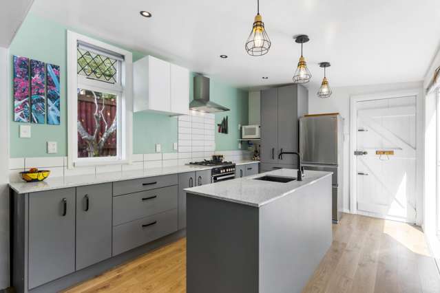 9 Hoggard Street Vogeltown_3