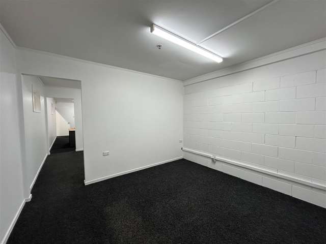 102 Princes Street Onehunga_3