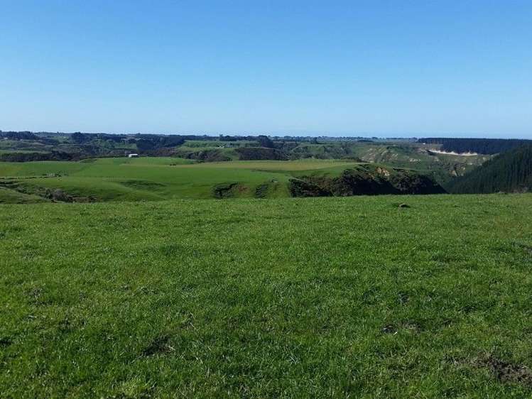 1584a Brunswick Road Kai Iwi_16