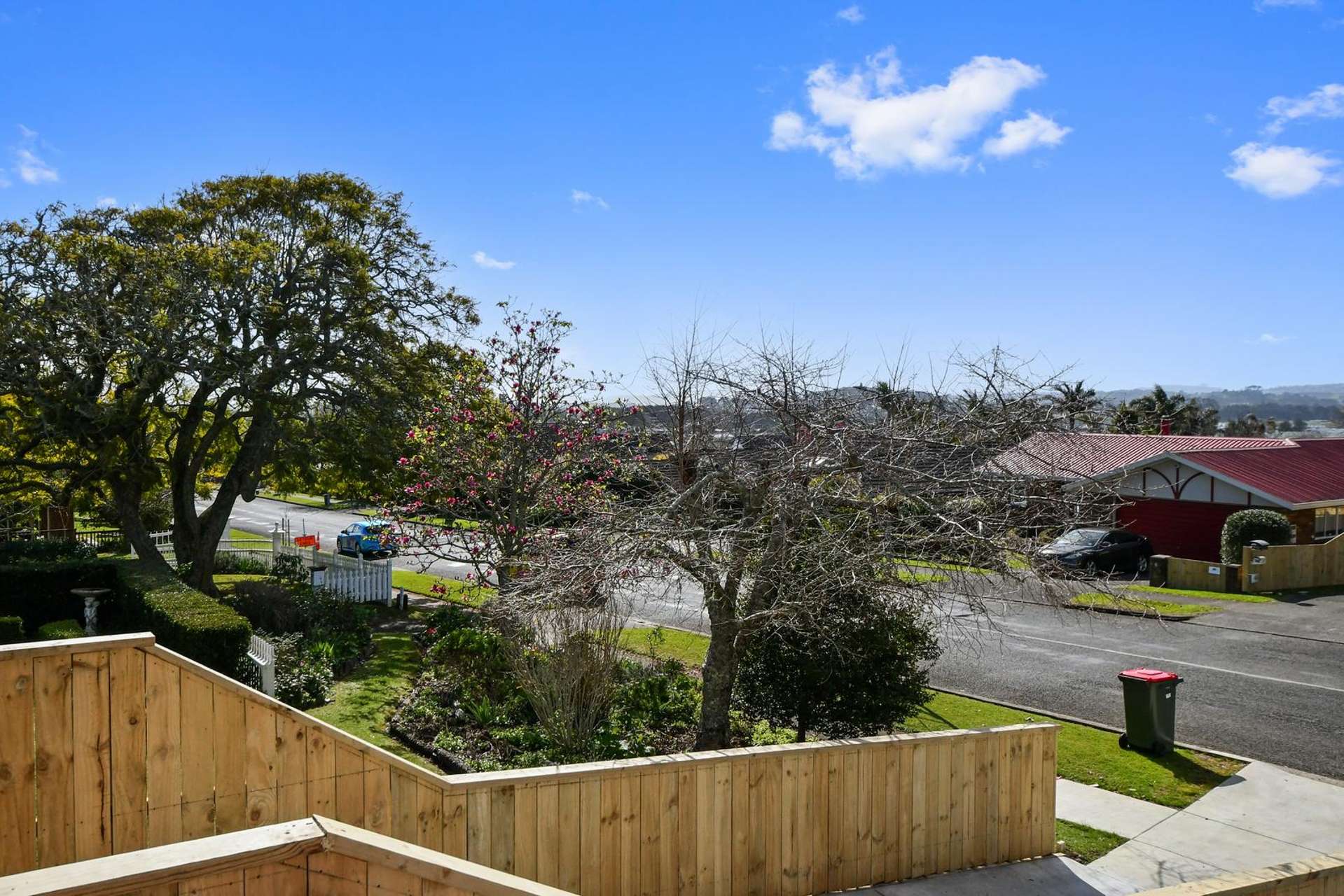 161 Wellington Street Pukekohe_0