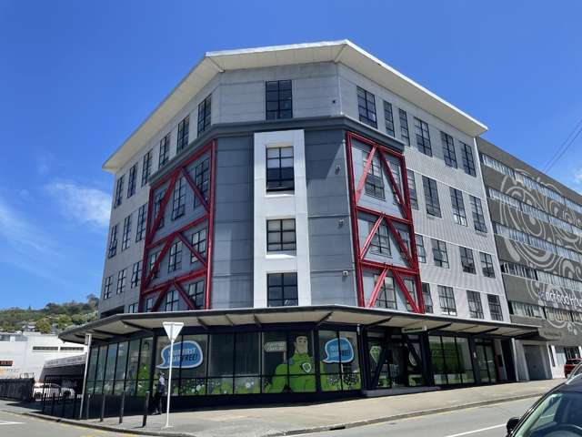 Mezzanine apartment in central Wellington