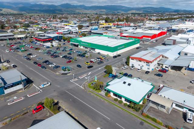 21 Bristol Street Levin_4