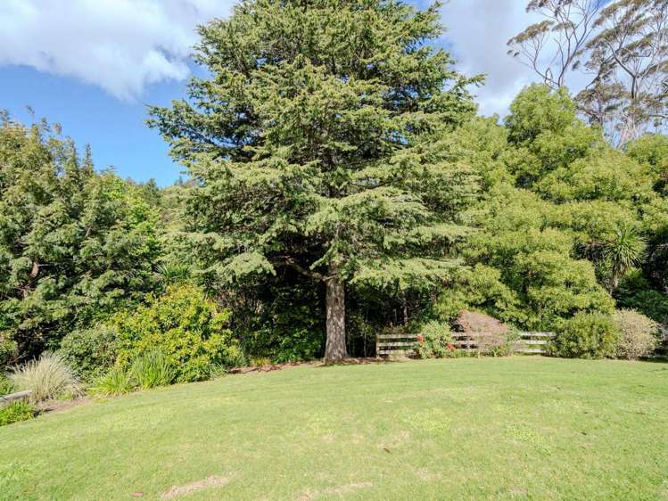 44F Darwin Road Kerikeri_13