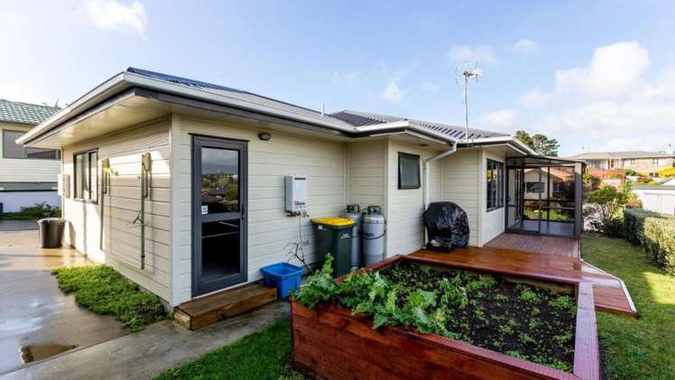 81 Oranga Street Westown_17
