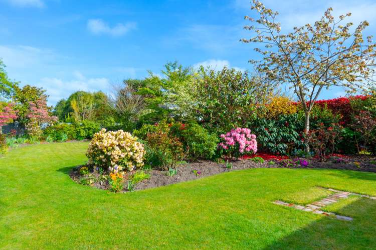 212 Talbot Street Geraldine_25