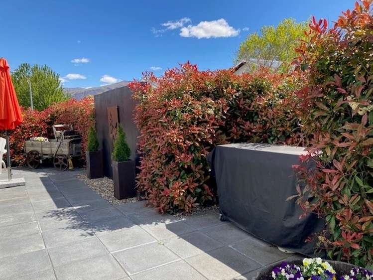 5 Malay Court Cromwell_17