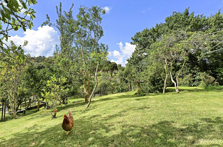 651 West Coast Road Oratia_7