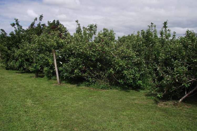 2 Grenadier Lane Waihi_22