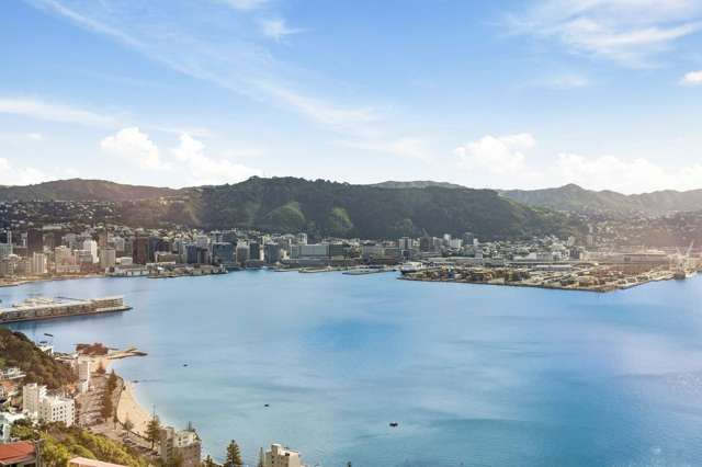 4A Robieson Lane Roseneath_3