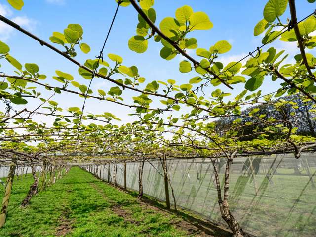 69 Pukakura Road Katikati_3