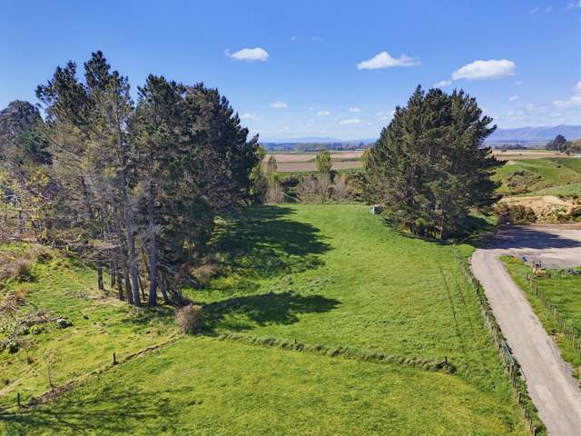 48A Heatherlea West Road Levin_3