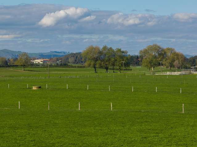 759 Kaipaki Road Ohaupo_2