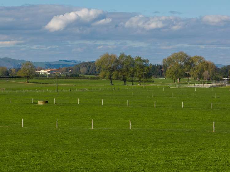 759 Kaipaki Road Ohaupo_2