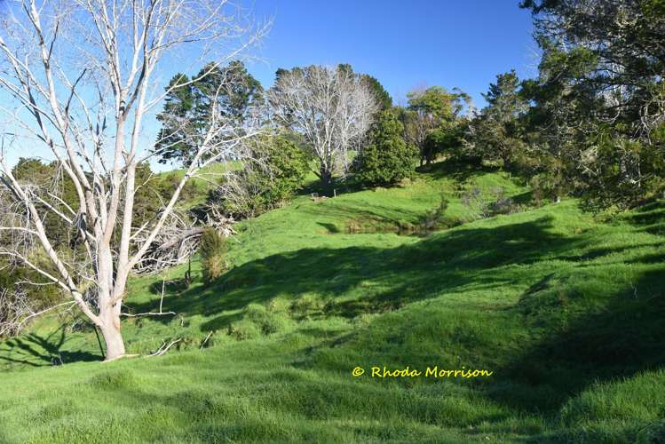 330 Franklin Road Paparoa_52
