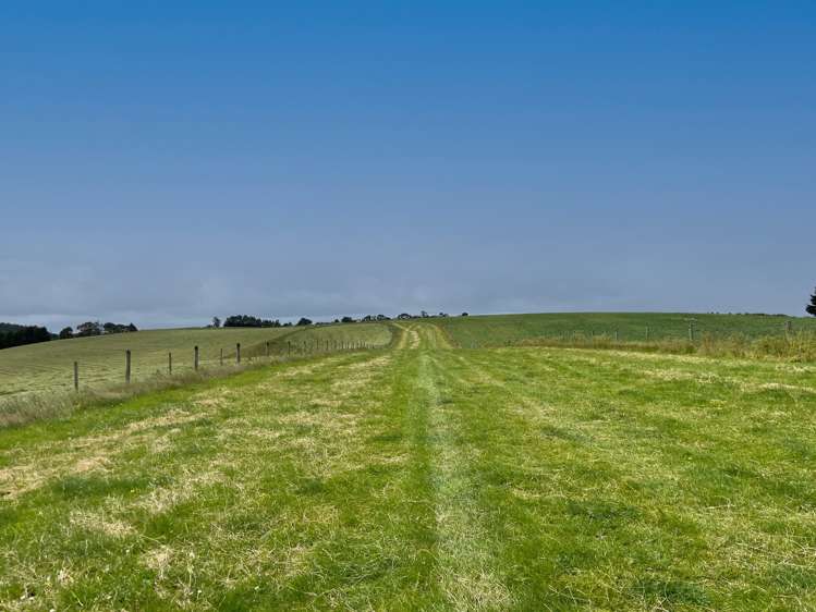 446 Skinner Road Clinton and Surrounds_3