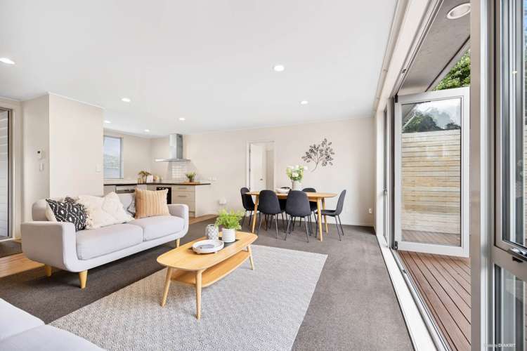 884a Mount Eden Road Three Kings_22
