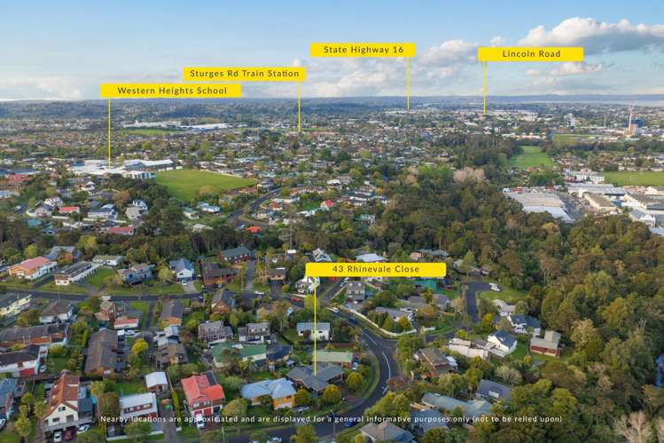43 Rhinevale Close Henderson_46