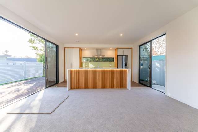 9a Branscombe Street Timaru_1