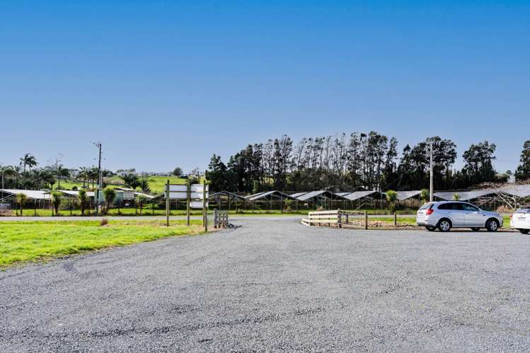 30 Edward Street Dargaville_12