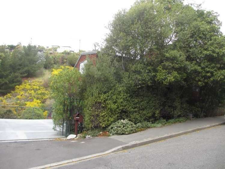 53b Holliss Avenue Cashmere_5