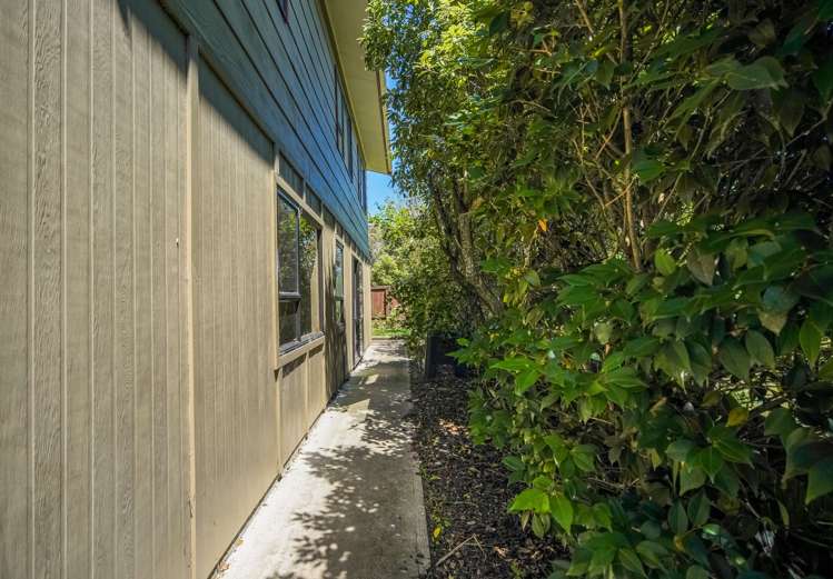 2/17a Brunner Street Nelson South_17