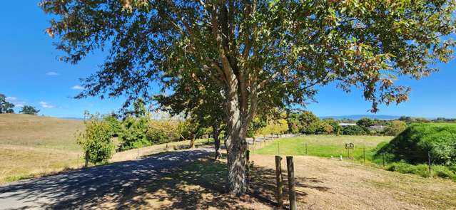 27 Kanuka Rise Thames_1