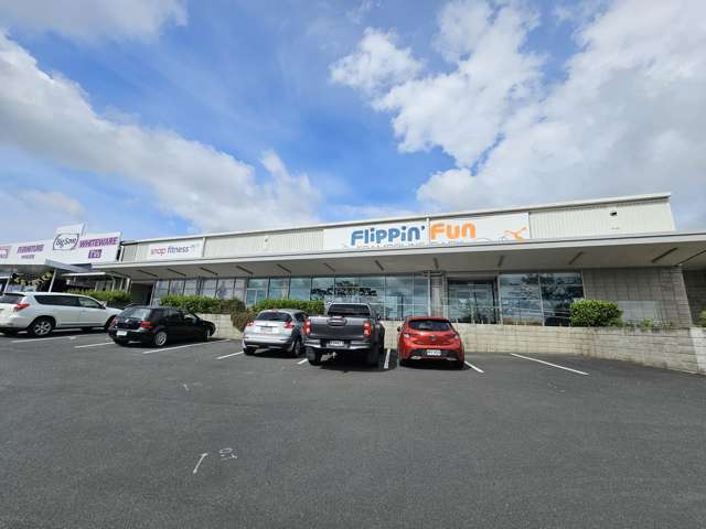 17 Fernhill Drive Massey_1