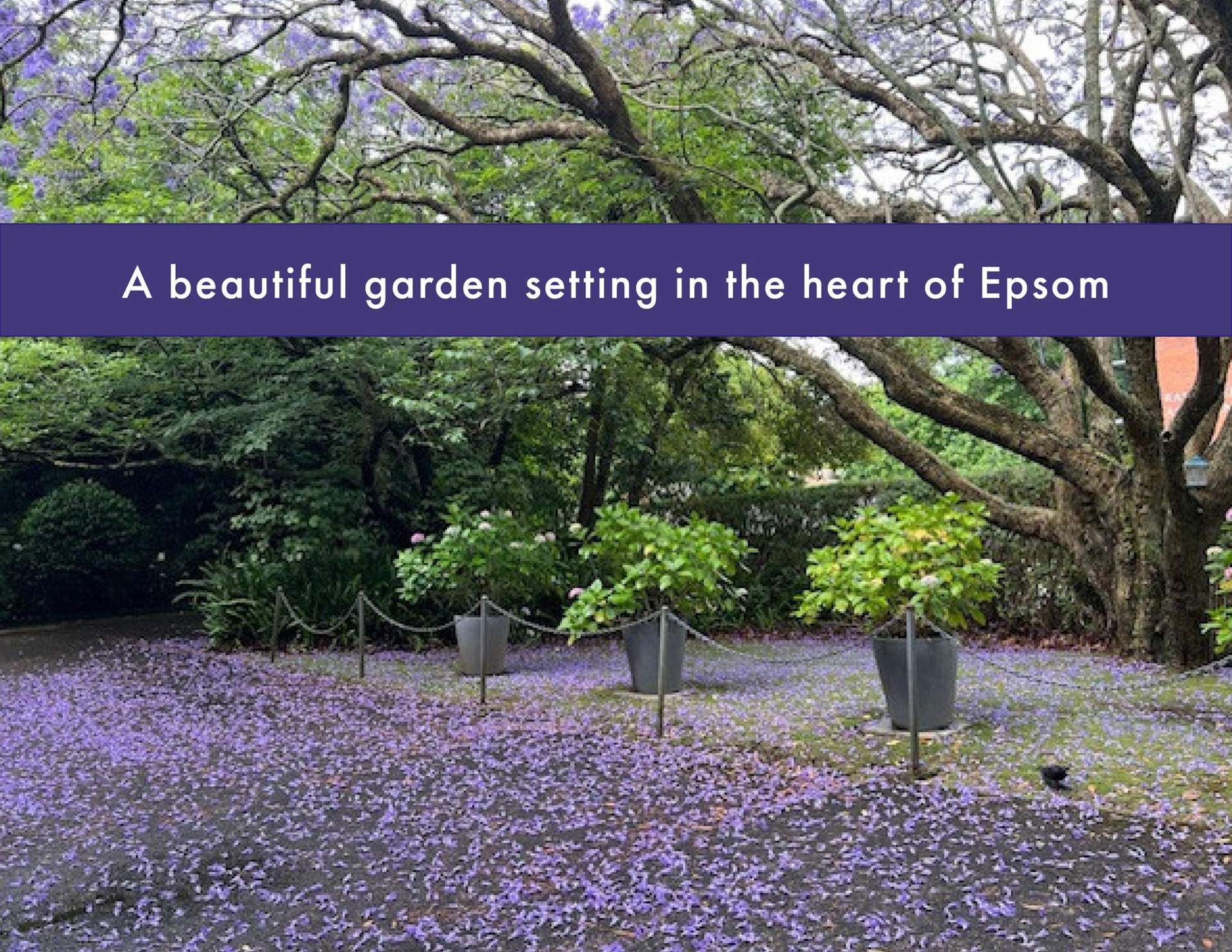 1a/1 Albury Avenue Epsom_0