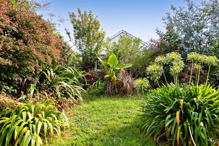 40 Banks Street Marfell_22