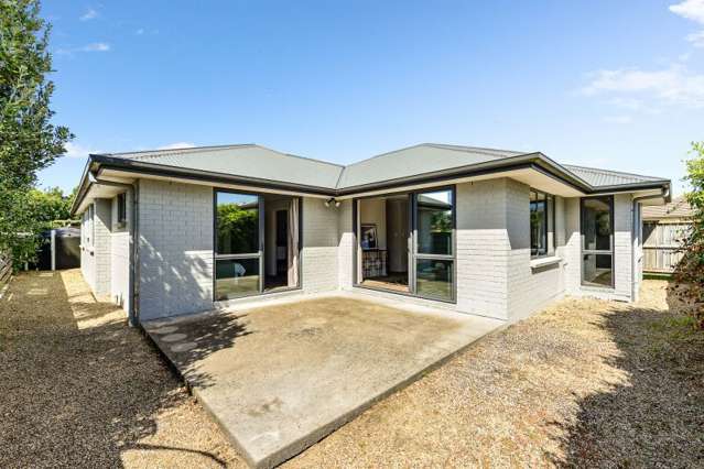 33A Boundary Road Claudelands_2