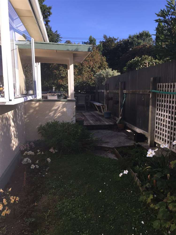 7 Bull Street Bulls_9