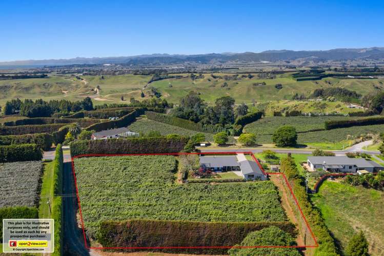 494 Paerata Ridge Road Opotiki and Surrounds_16