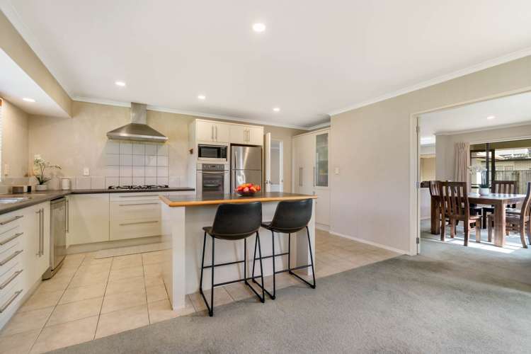 31 Baltersan Drive Flat Bush_2