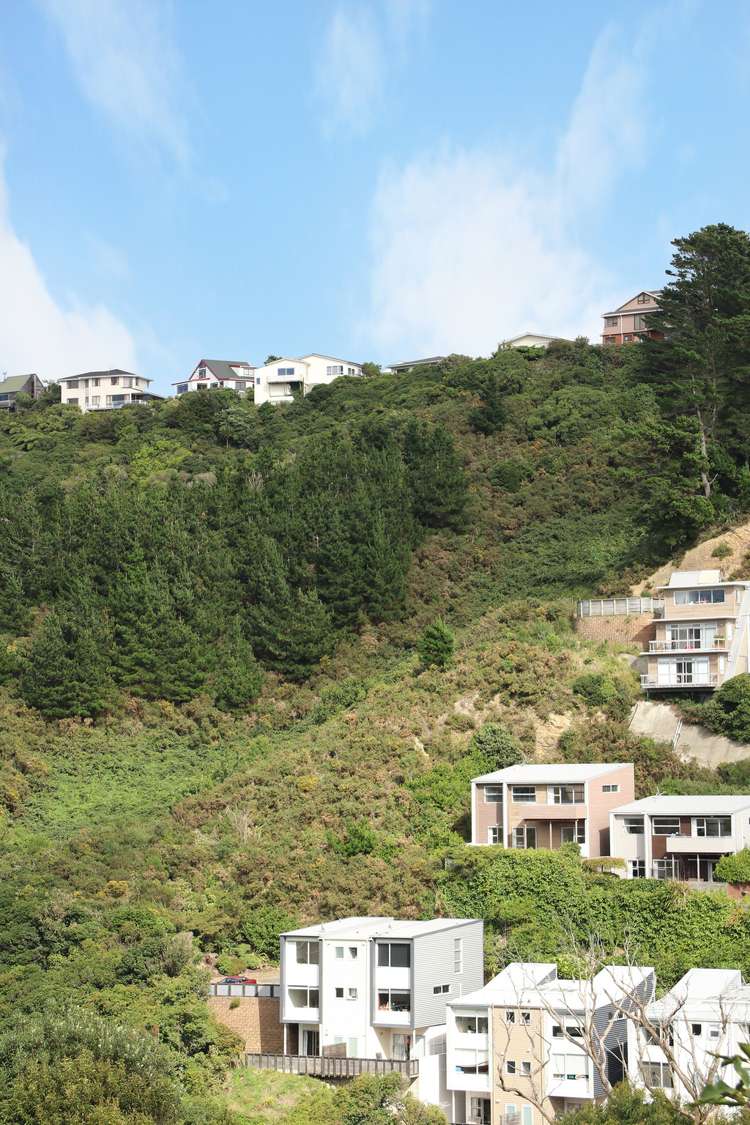 318 Ohiro Road Brooklyn_2