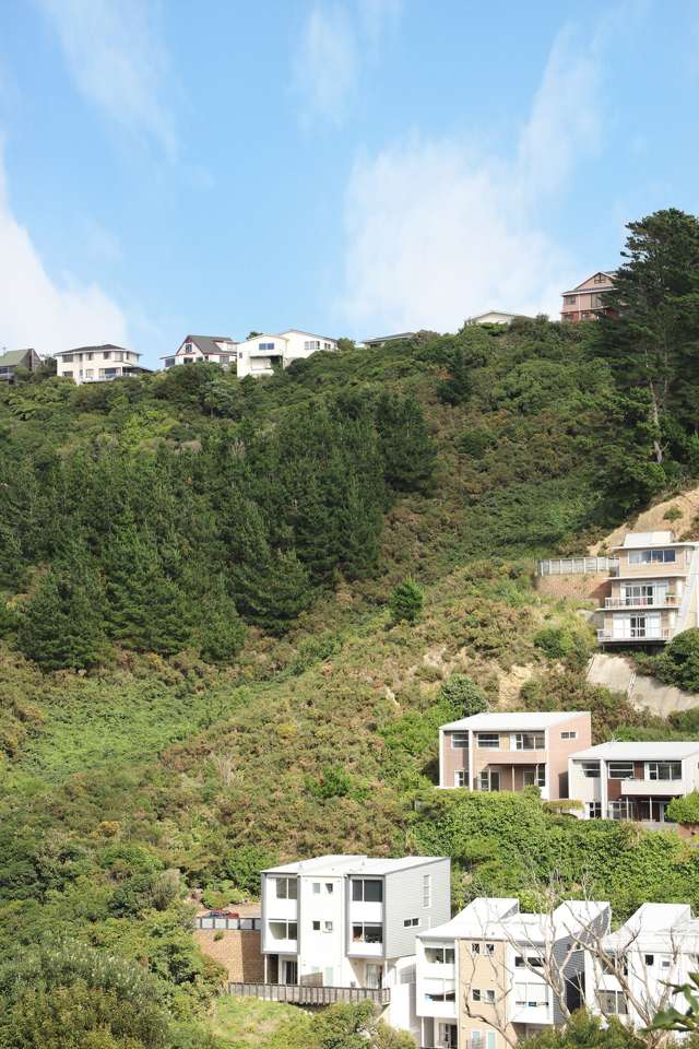 318 Ohiro Road Brooklyn_2