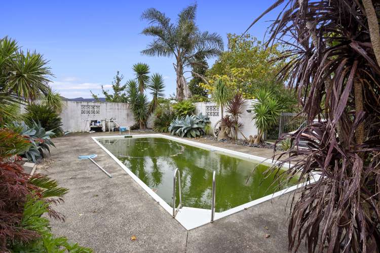 206 Pukekauri Road Waikino_12