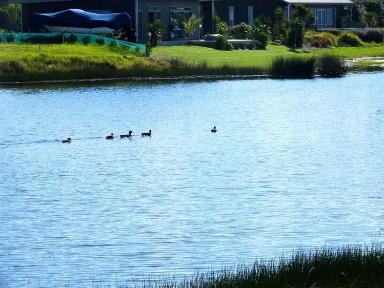 113 Karo Drive Matarangi_9