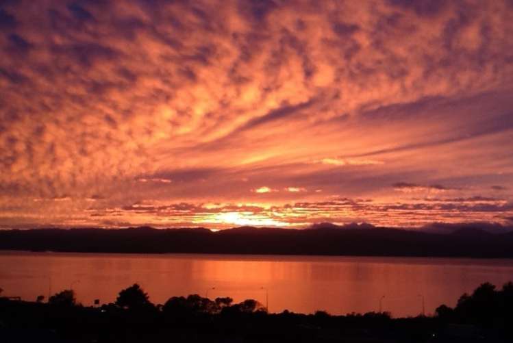 16 Cameron Street Kaiwharawhara_14