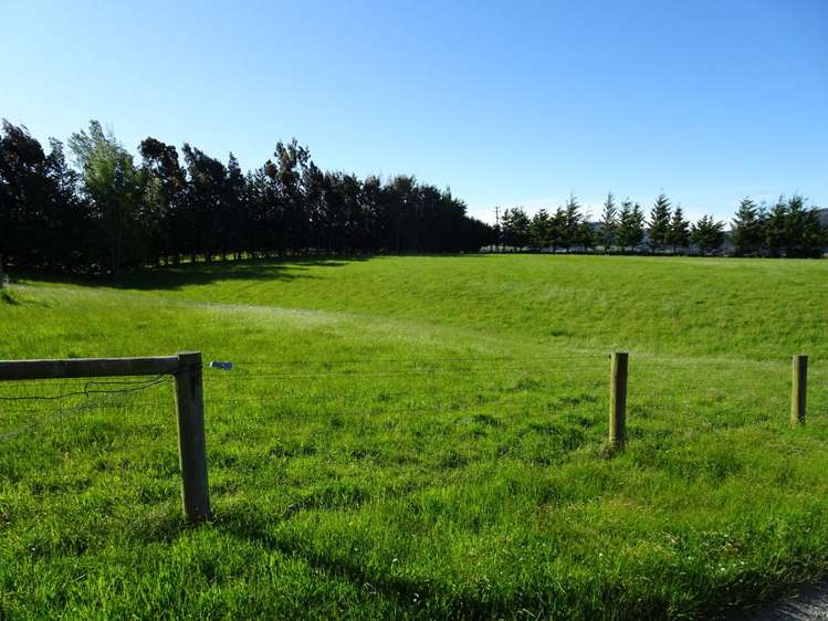 295 Kelvin Road Gore Surrounds_18