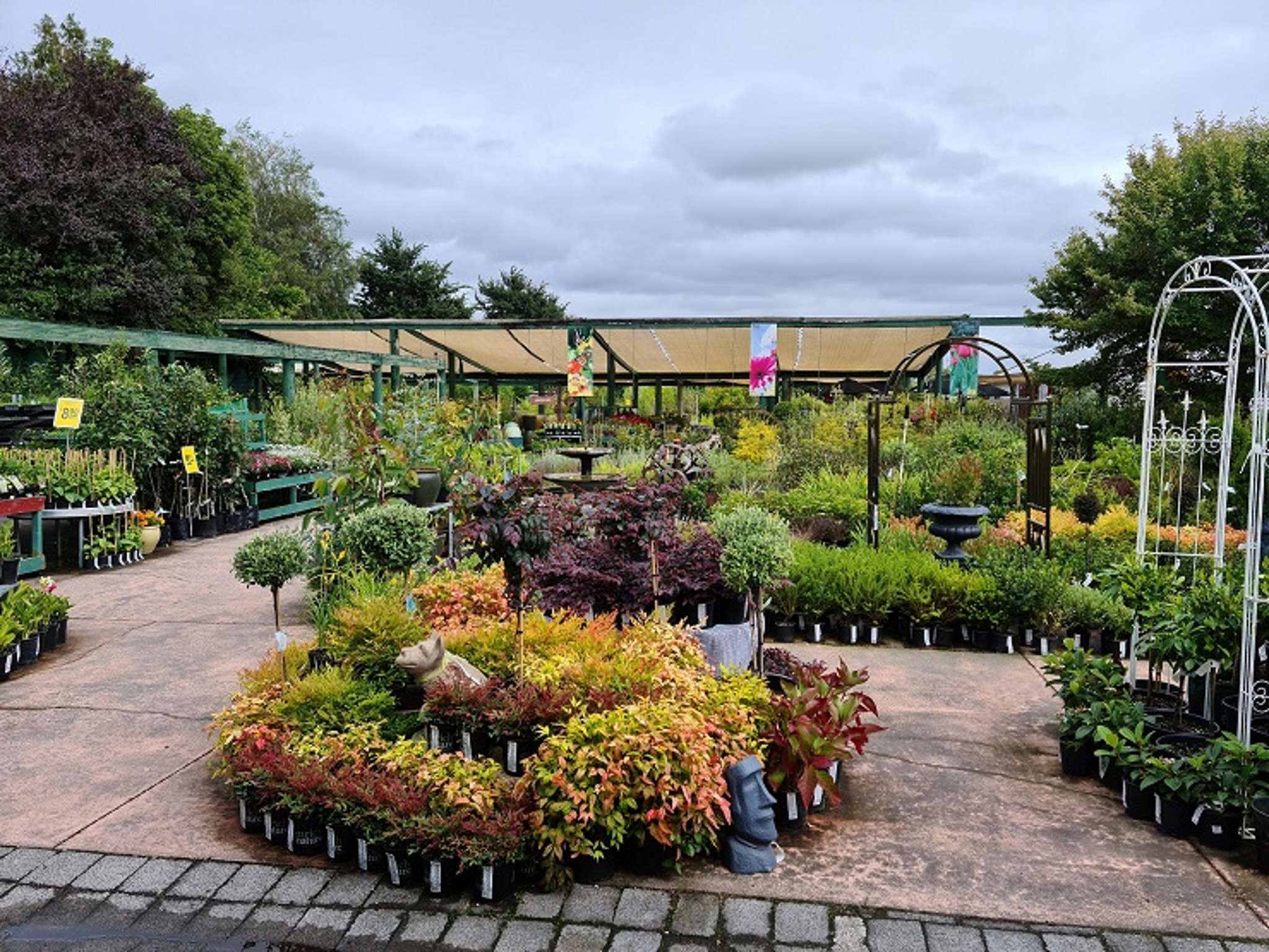 Garden centre business for sale as a blooming great opportunity