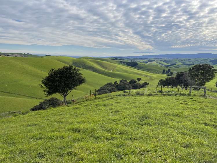 186 Murray Road Lawrence_3